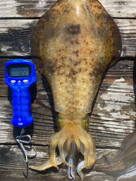 ヤエン釣り初キロover2杯良型2杯