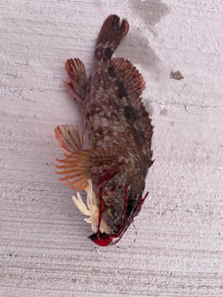 ズルずるテクてく