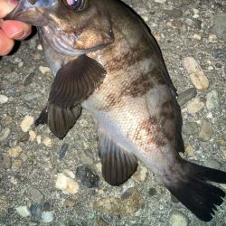 2024ライトゲーム第20戦