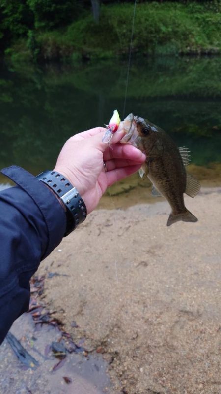 痛恨のバラシ！