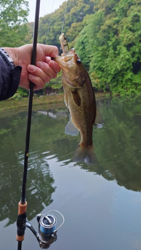 アフターの釣り方