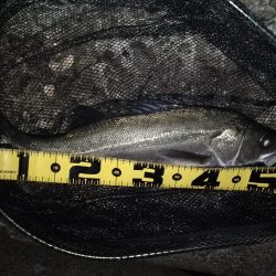 冷たい向かい風…