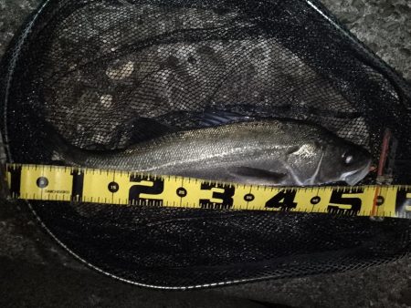 冷たい向かい風…