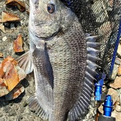 トップチニング