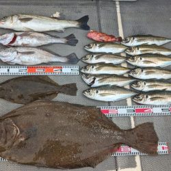 怪物ヒラメ見てしまった・・・