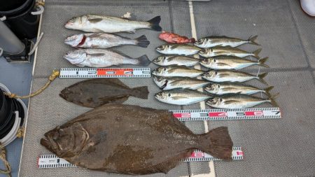 怪物ヒラメ見てしまった・・・