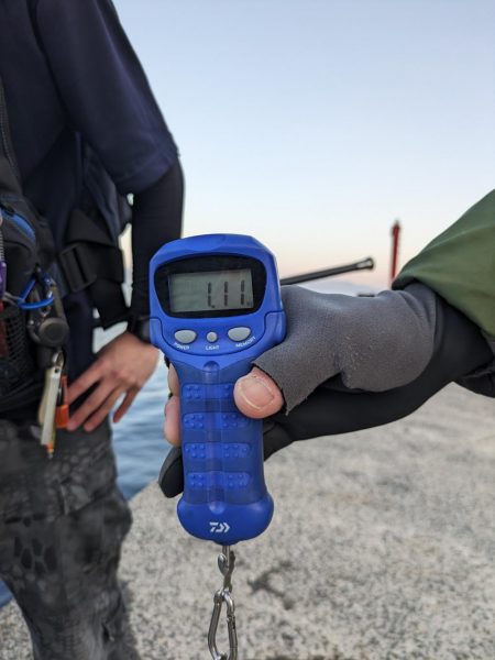 初のキロアップ