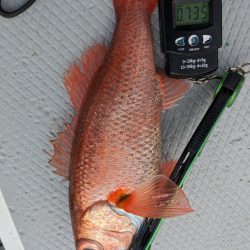 中深海ジギング