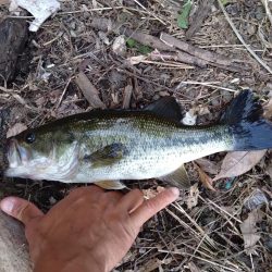 パワーフィネスで1本