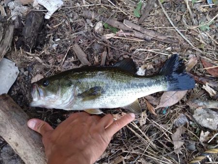 パワーフィネスで1本