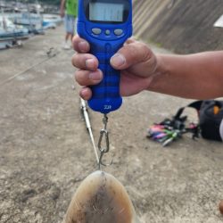 風があっち向きこっち向き😭