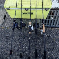 激渋なんとか白甘鯛1匹