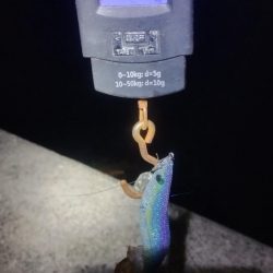 3キロに届かず!