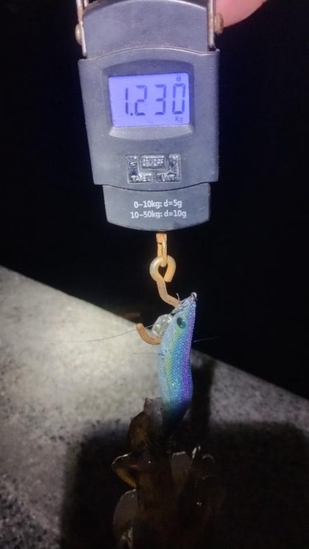 3キロに届かず!