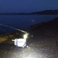 苅屋海岸のキス釣り