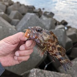 陸っぱり釣行記