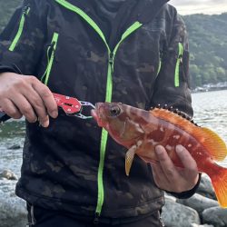 陸っぱり釣行記