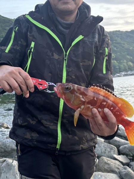 陸っぱり釣行記
