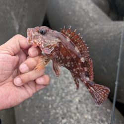 陸っぱり釣行記