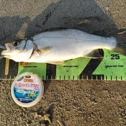 ルアーフィッシング