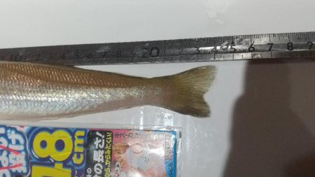 キスイベント参加