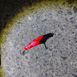 今回は大苦戦でした