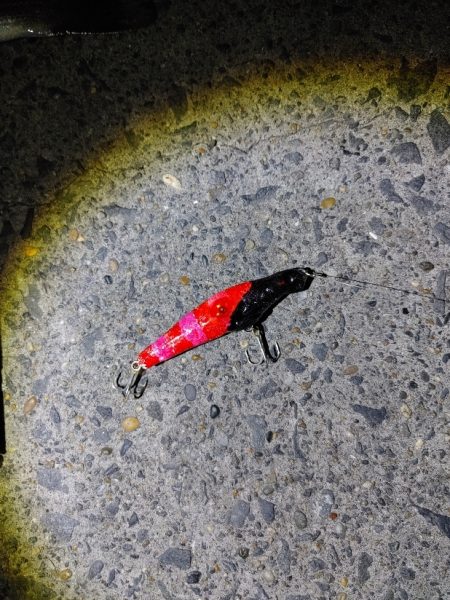 今回は大苦戦でした