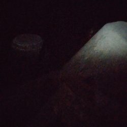 ケンサキ、コウイカ