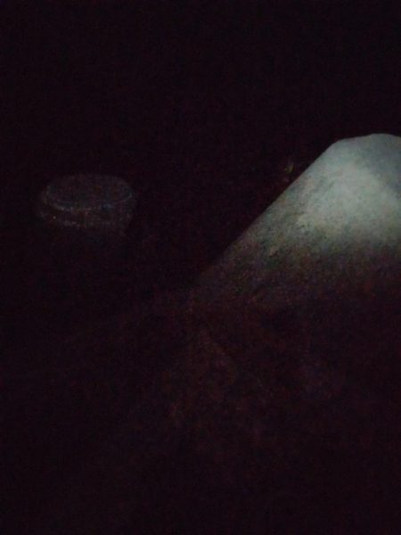 ケンサキ、コウイカ