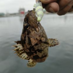 釣りキャン帰りに