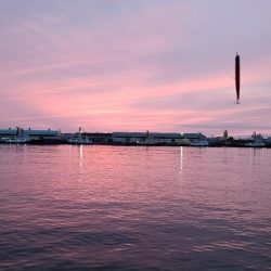 まだまだバチ抜け?