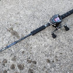 タコのちシーバス🐙🐟