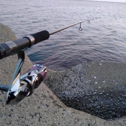 フラット狙いで四角いやつ