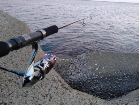 フラット狙いで四角いやつ