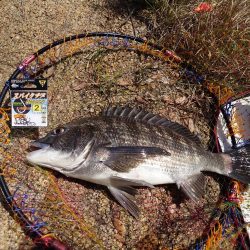 一昨日に続き再び芸予諸島