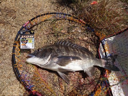 一昨日に続き再び芸予諸島