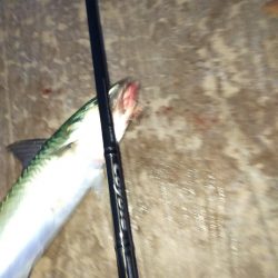 強風の中なんとか