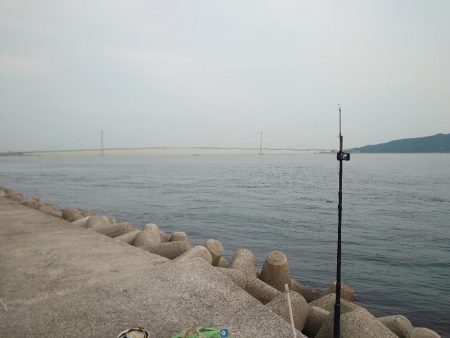 青物狙い🎣