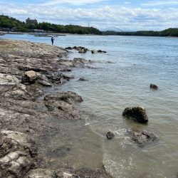 GW天草キス釣り遠征でした その2