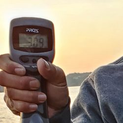 春アオリイカ狙い