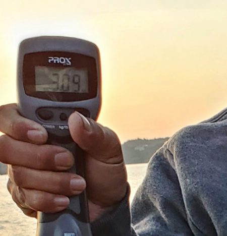 春アオリイカ狙い