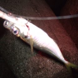 波風治まるまではやや渋め