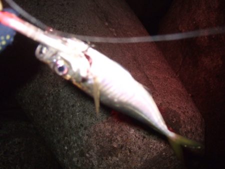 波風治まるまではやや渋め