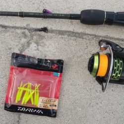 風が強い予報でしたが何とか釣りになりました。