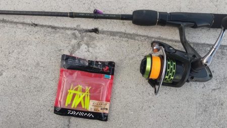 風が強い予報でしたが何とか釣りになりました。