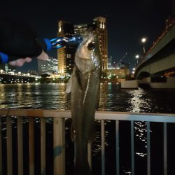 連続で釣れたのはうれしかった!