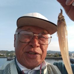 淡路島キスの活性調査