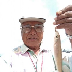 播磨新島のキス調査