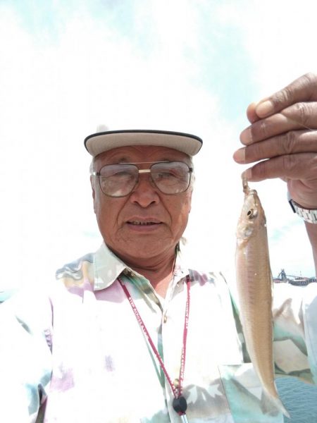 播磨新島のキス調査