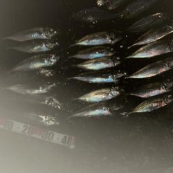 ナイトアジング